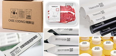 13. Bo-dieu-khien-may-in-phun-Piezo-81-series