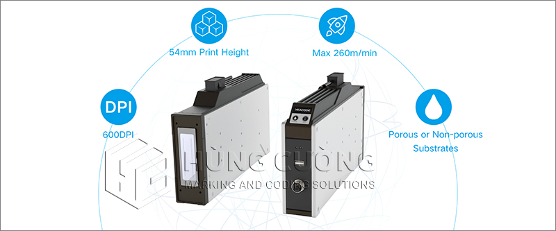 11.  Dau-in-phun-piezo-8d