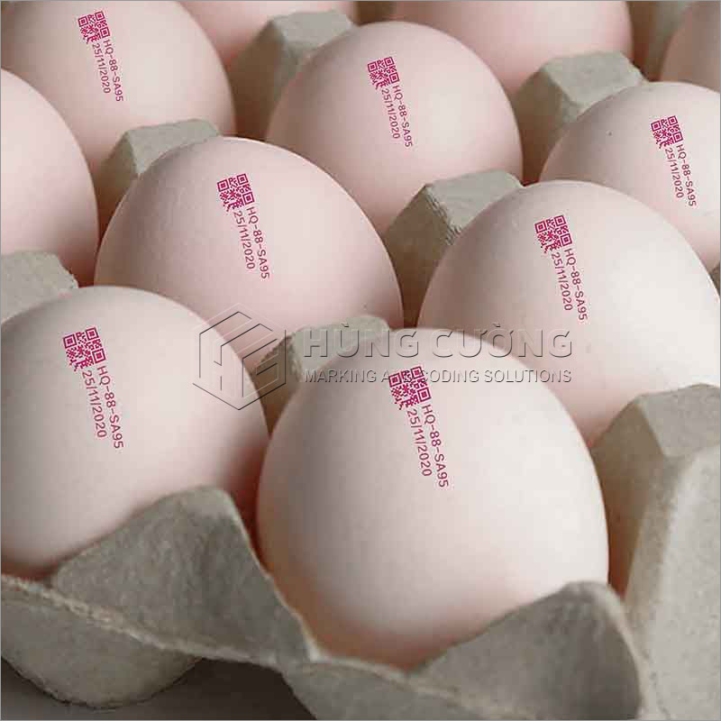 12. May-in-phun-ma-ky-hieu-in-date-len-trung-6-dau-in